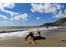 IMG 20220914 131204.jpg