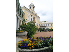 IMG 20220617 171922.jpg