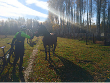 20221015 �����BikeTrip 112729.jpg