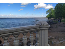 IMG 20220619 155138.jpg