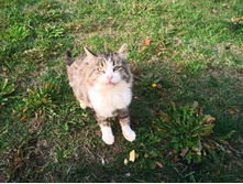 20221016 ������� 130651.jpg