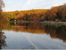 IMG 20200927 165815.jpg