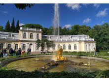 IMG 20220619 163130.jpg