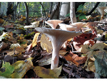 IMG 20221002 154352.jpg