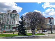 IMG 20220502 113758.jpg