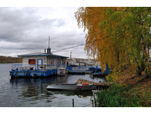 IMG 20221008 133125.jpg