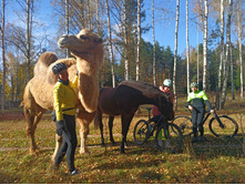 20221015 �����BikeTrip 113216.jpg