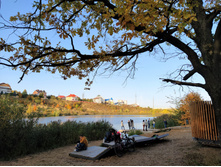 IMG 20200927 161413.jpg