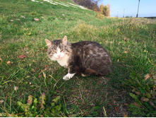 20221016 ������� 130743.jpg