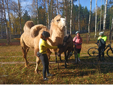 20221015 �����BikeTrip 113208.jpg