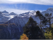 IMG 20211008 104032.jpg