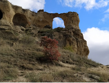 IMG 20211007 104256.jpg