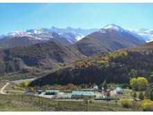 IMG 20211010 112541.jpg