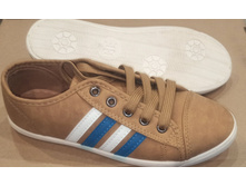 ���� ����������