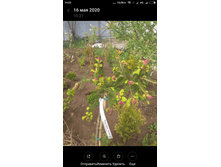 Screenshot 2022-05-31-14-22-07-726 com.miui.gallery.png