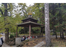 IMG 20211007 154134.jpg