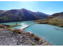 IMG 20211011 124125.jpg