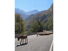 IMG 20211011 112342.jpg