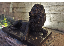 IMG 20211006 175408.jpg