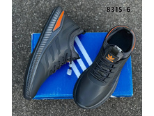 ������ �������