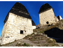 IMG 20211010 122130.jpg