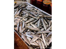 IMG 20221103 182101.jpg