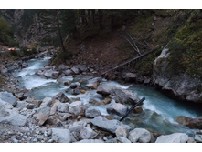 IMG 20211008 175053.jpg