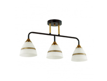 52143CA 1200�.jpeg