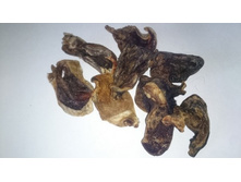 ������� ���� ���� (��������)