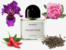 YOUNG ROSE BYREDO � � 100 �� 16100+%+����  �� ������