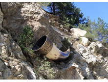 IMG 20211011 132410.jpg