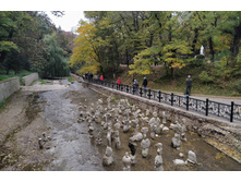 IMG 20211007 154322.jpg