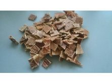 ���� �������