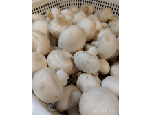 IMG 20221102 180150.jpg