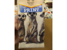 IMG 20221012 090436.jpg