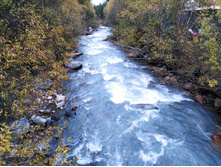 IMG 20211008 171109.jpg