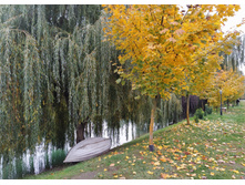 IMG 20211012 145655.jpg