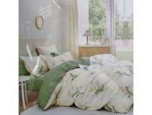 Romanza ���������� �����