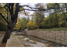 IMG 20211007 154120.jpg