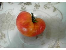 ���� �����