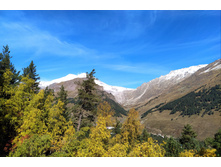 IMG 20211008 103849.jpg