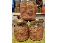 �������� ���! 1 ����� � �������� 0,5 ��������� ������� � ����������� ���� � ���������, �� ���� ���������� ����) 250�