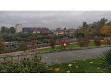 IMG 20211009 165435.jpg