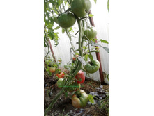 ������������