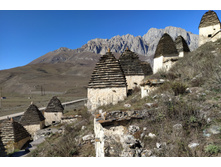 IMG 20211010 121826.jpg