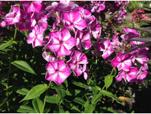 ��������(?)