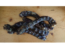 ��� �������