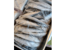 IMG 20221027 150828.jpg