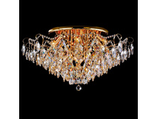 1008112 21000�.jpg