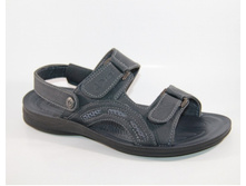 �������� ����� ���.